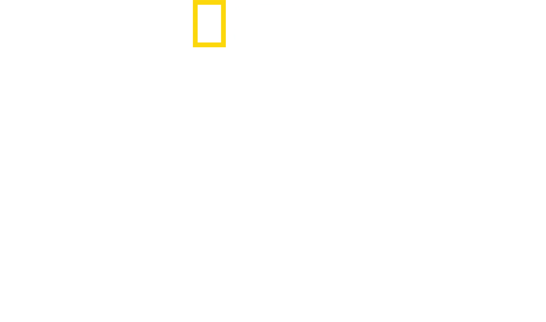 シャーク！驚異の胃袋