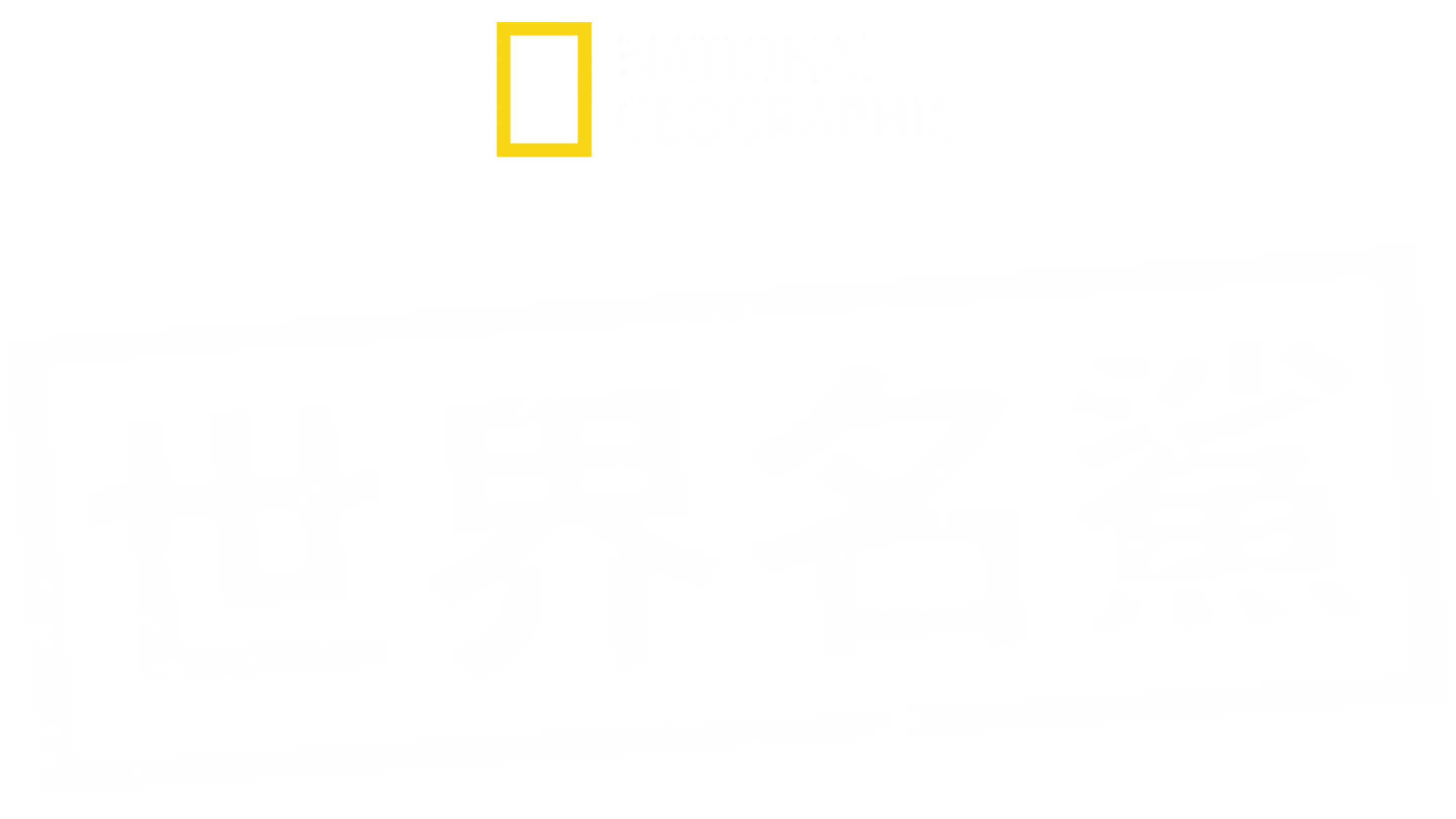 世界名鯊