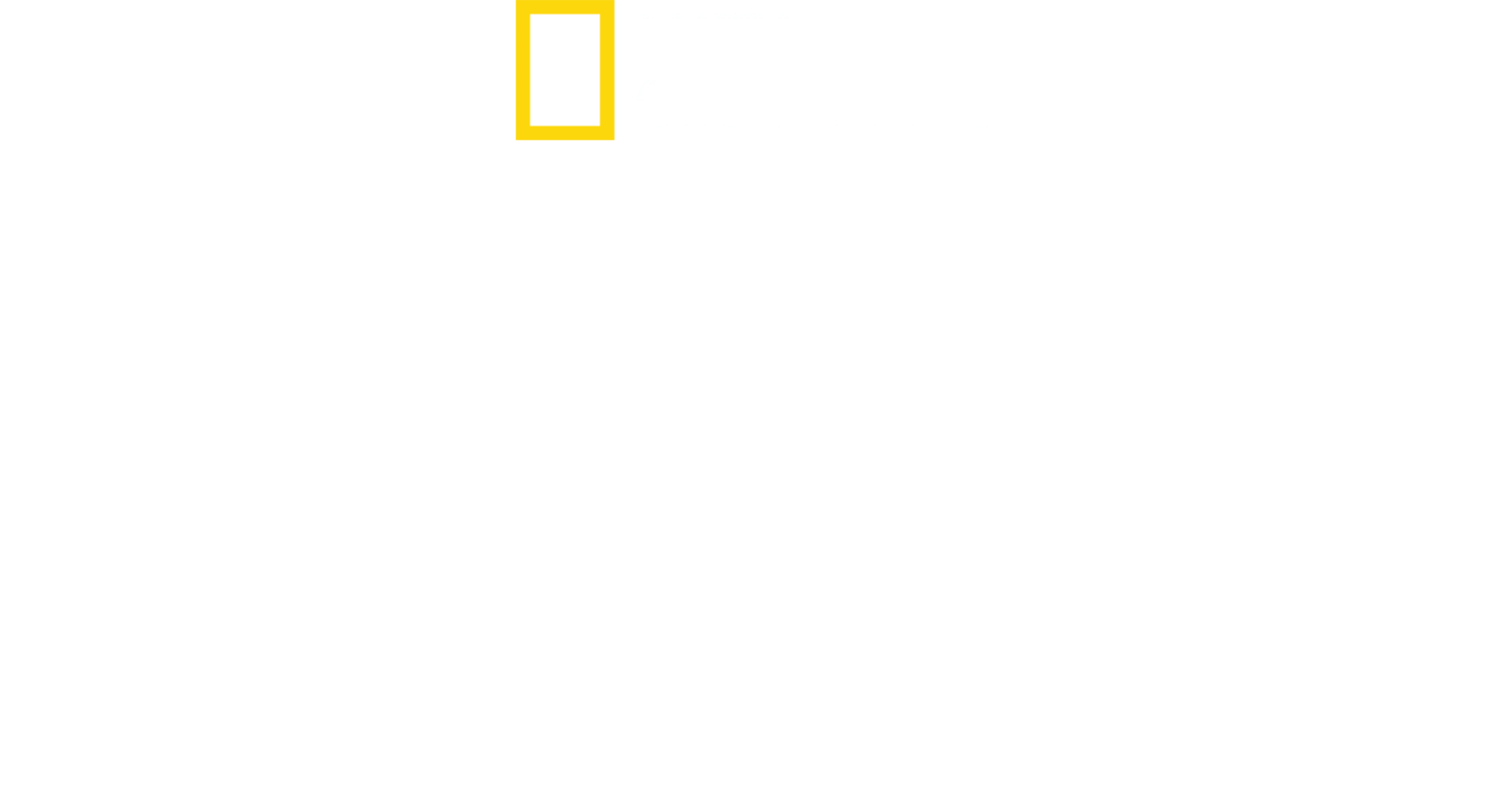 世界名鯊