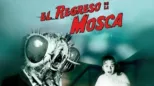 thumbnail - El regreso de la mosca