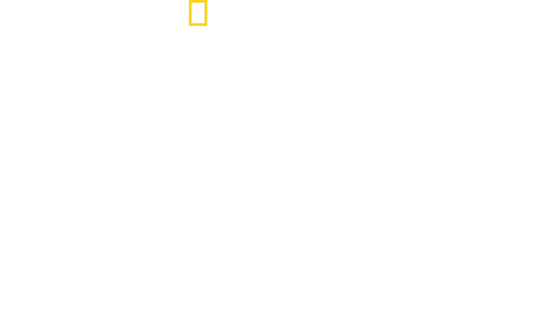 Hitlers letzter Widerstand