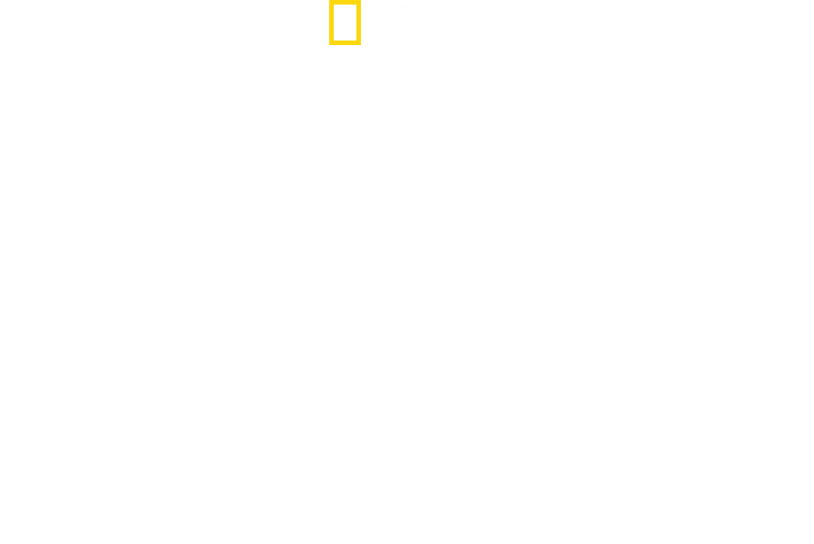 Hitlers letzter Widerstand