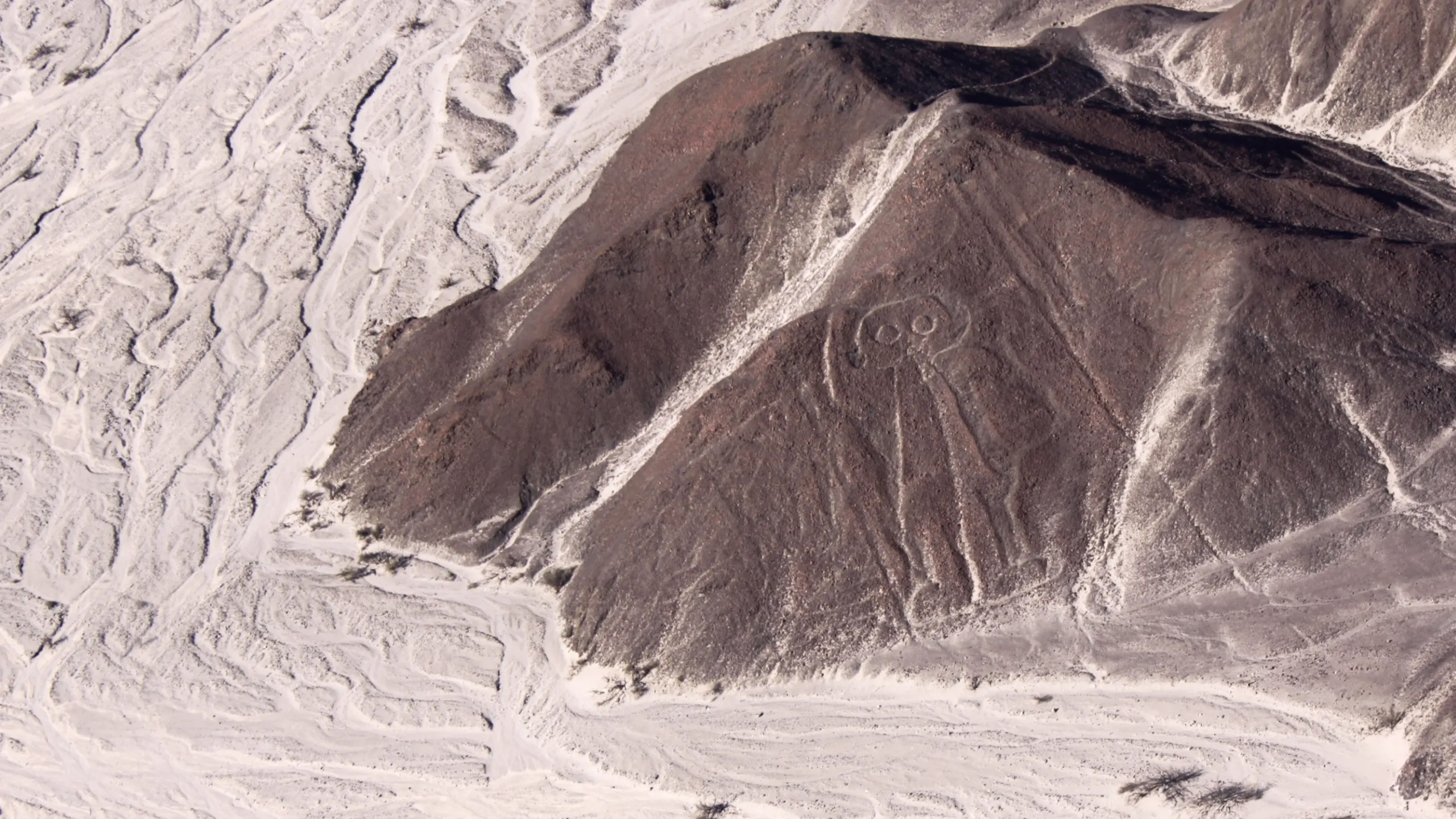 Nasca Lines Decoded