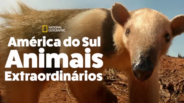 thumbnail - América do Sul: Animais Extraordinários