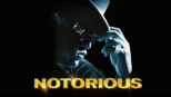 thumbnail - Notorious