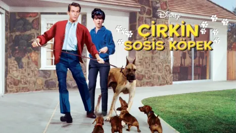 thumbnail - Çirkin Sosis Köpek
