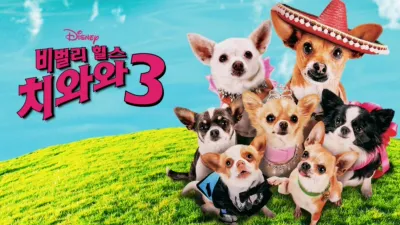 thumbnail - 비벌리 힐스 치와와 3