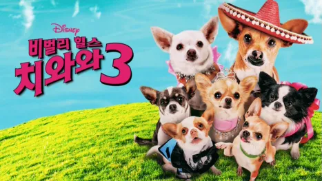 thumbnail - 비벌리 힐스 치와와 3