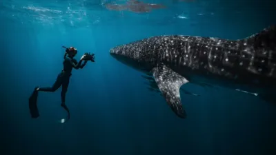 thumbnail - S2:E6 White Gold Wreck