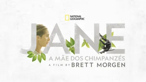 thumbnail - Jane: A Mãe dos Chimpanzés