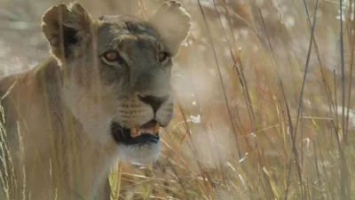 thumbnail - S4:E1 A Mother's Sacrifice