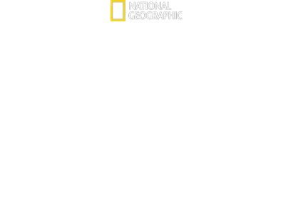 Disney's Animal Kingdom: magiczne królestwo zwierząt