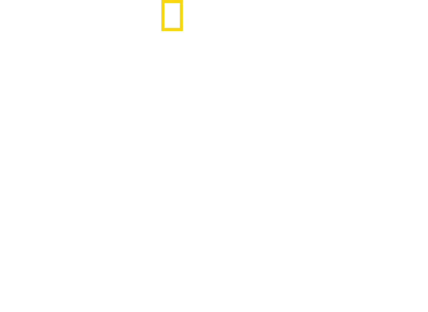 Disney's Animal Kingdom: magiczne królestwo zwierząt