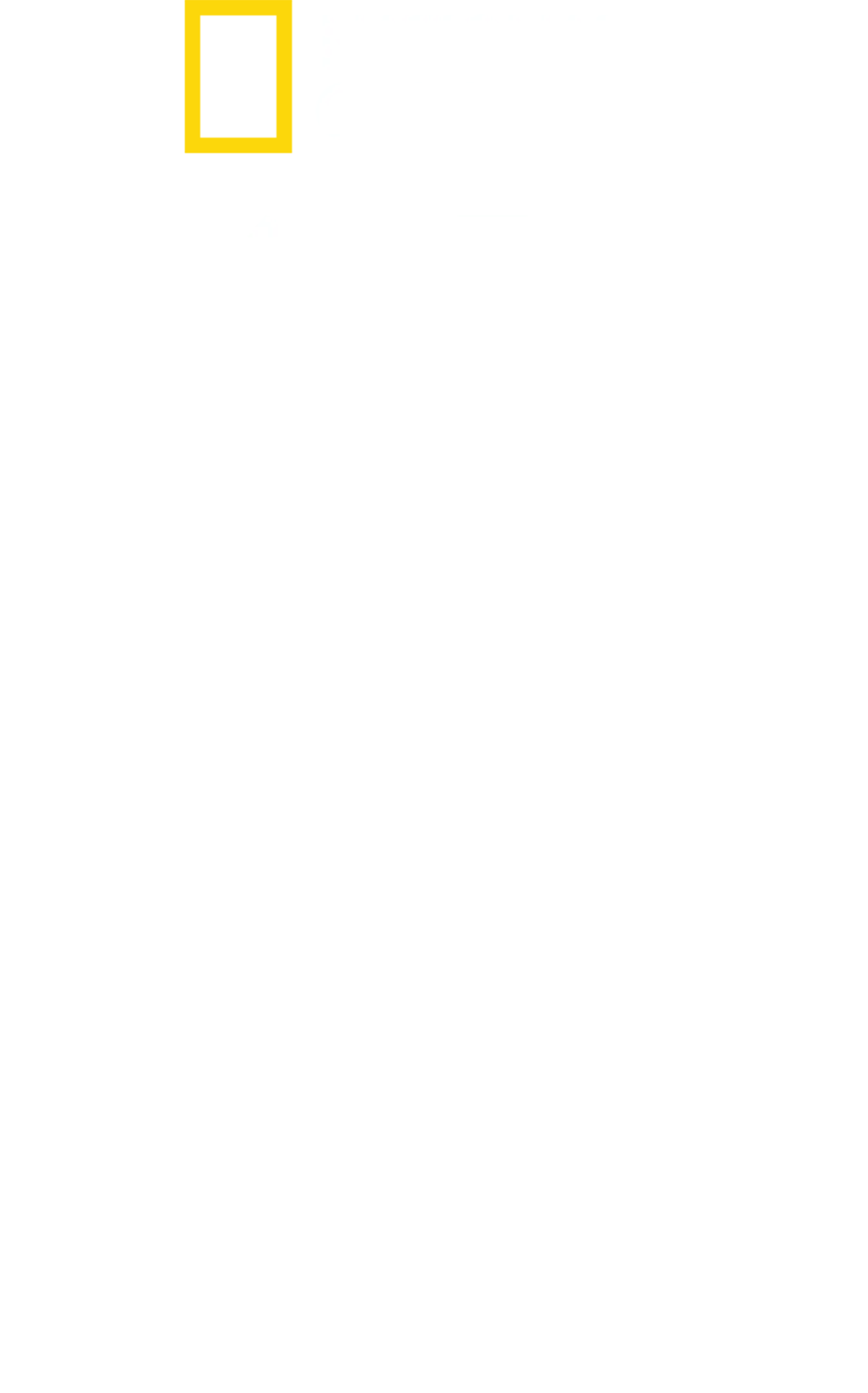 鲨与鲸