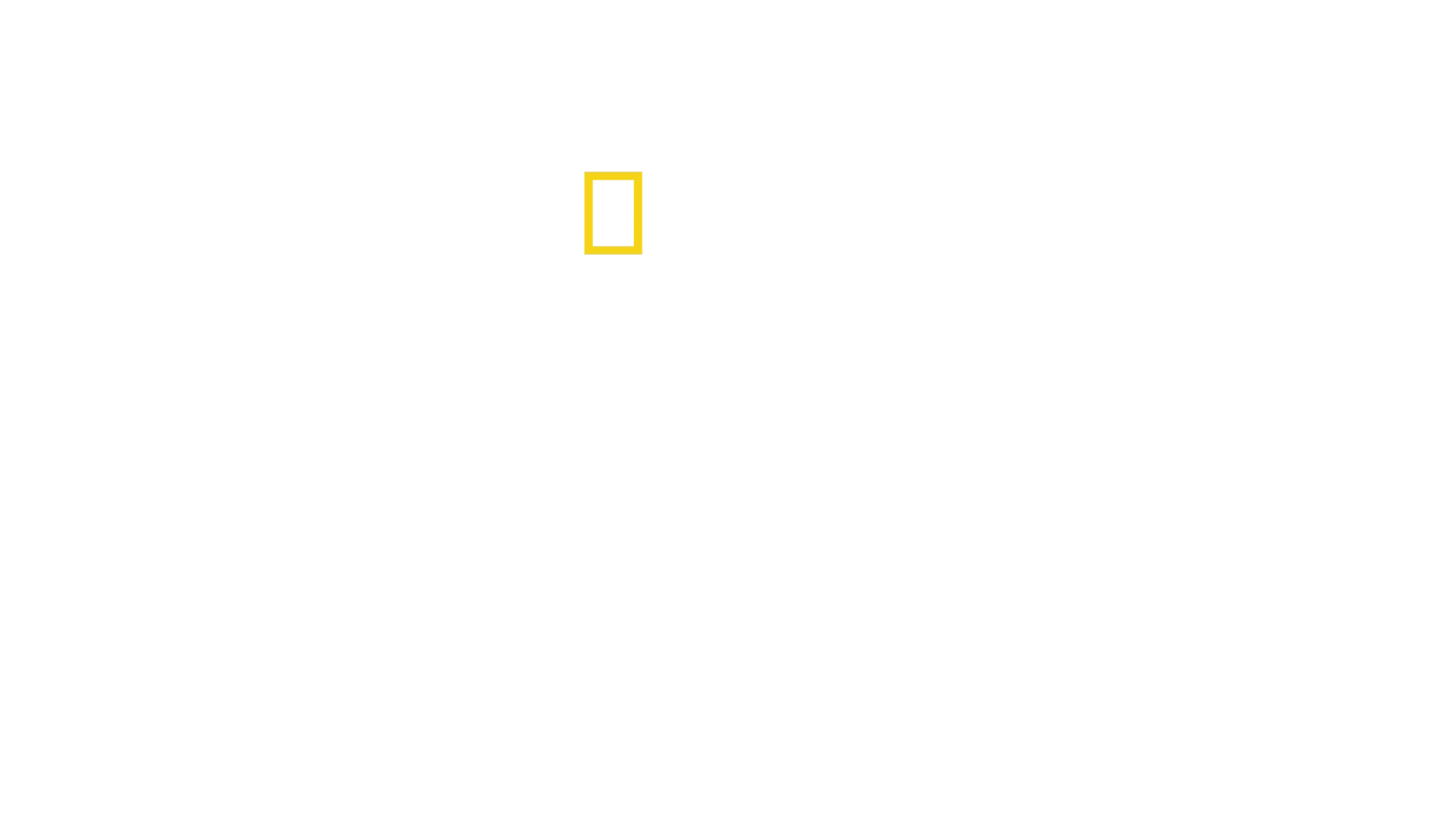 Les Secrets des Baleines