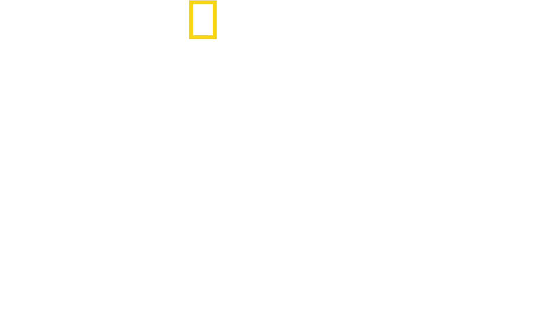 遠征亞馬遜