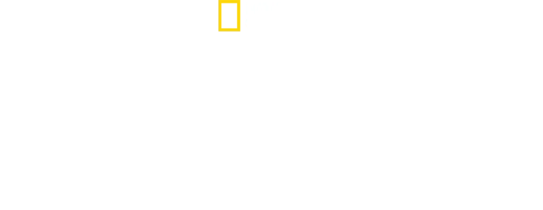與大衛艾登堡遨遊深海