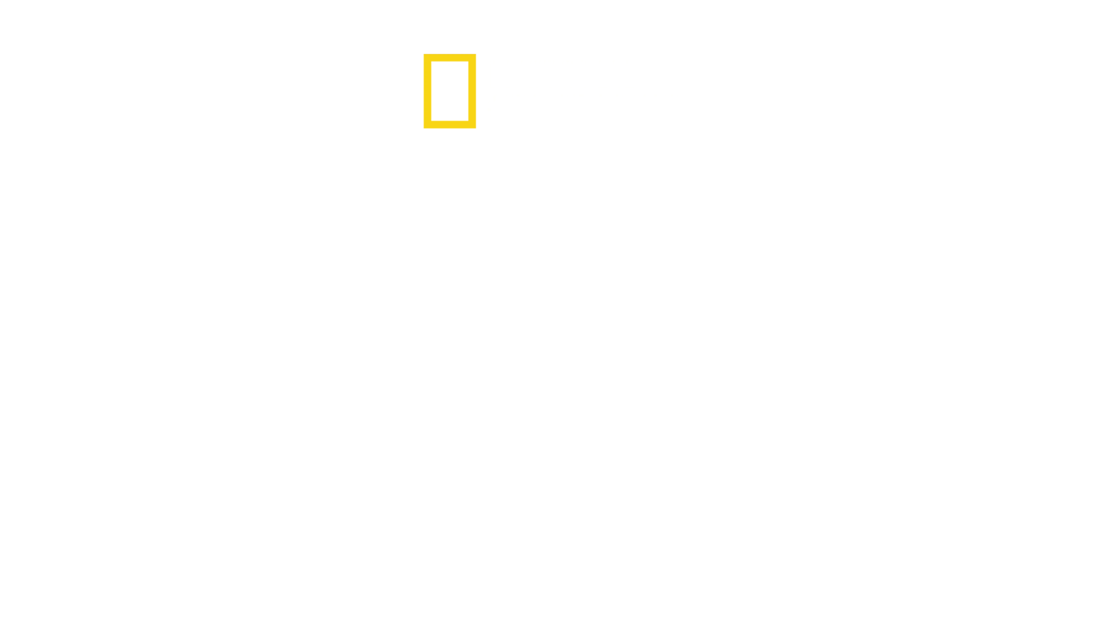 Vahşi Krallık
