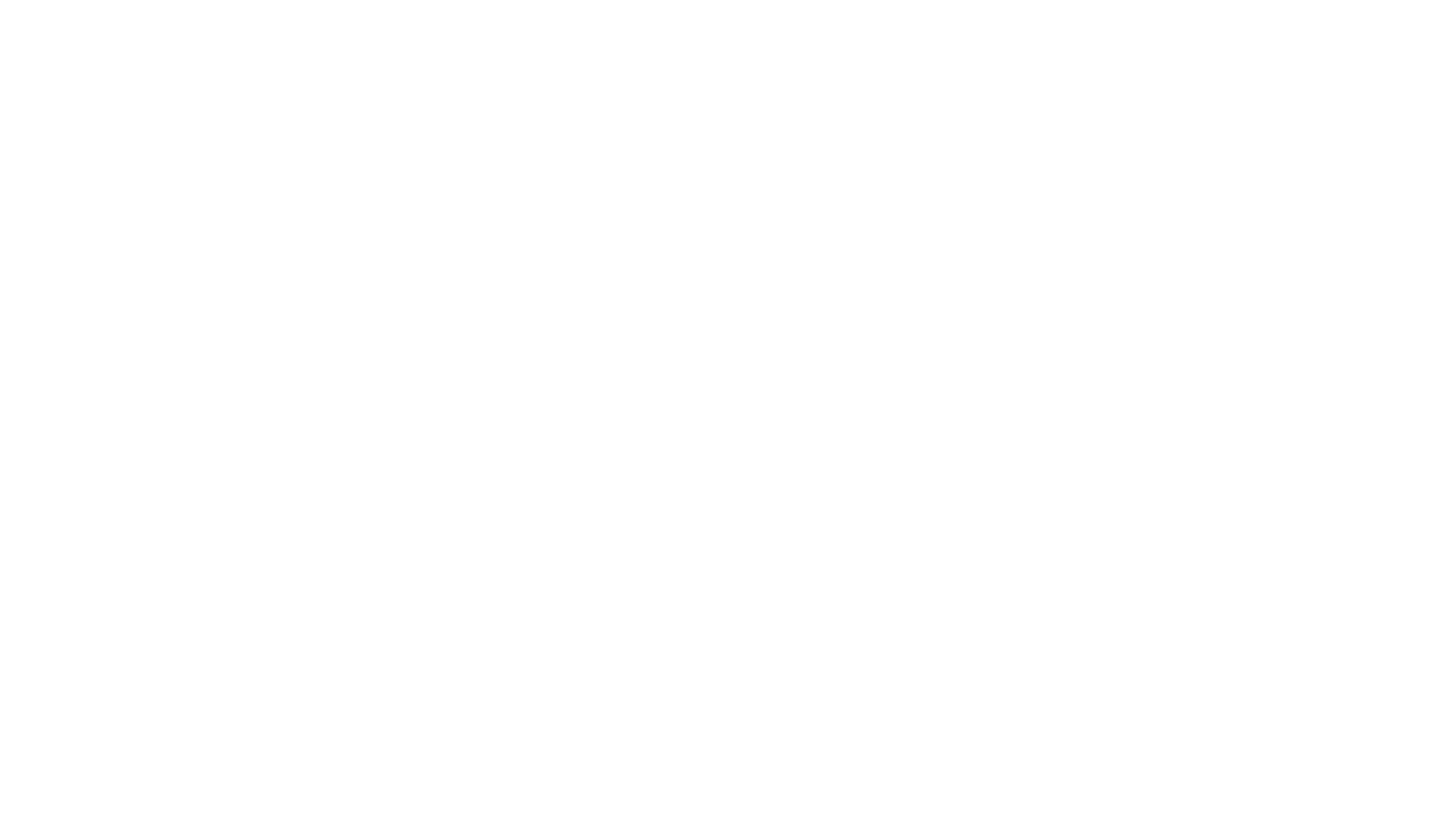 Kung Fu Dunk
