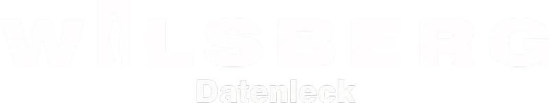Wilsberg - Datenleck