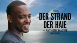 thumbnail - Der Strand der Haie mit Anthony Mackie: Golfküste