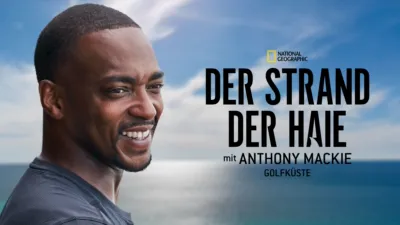 Der Strand der Haie mit Anthony Mackie: Golfküste