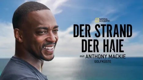 thumbnail - Der Strand der Haie mit Anthony Mackie: Golfküste