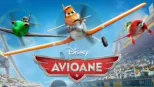 thumbnail - Avioane