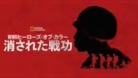 thumbnail - WWⅡヒーローズ・オブ・カラー：消された戦功