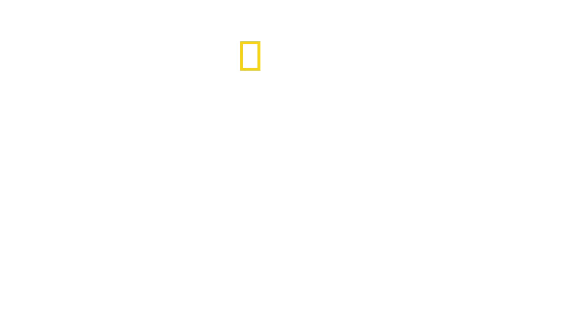 Den lille gigant