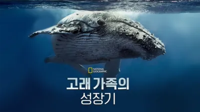 thumbnail - 고래 가족의 성장기