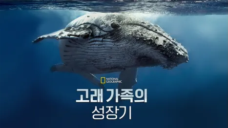 thumbnail - 고래 가족의 성장기