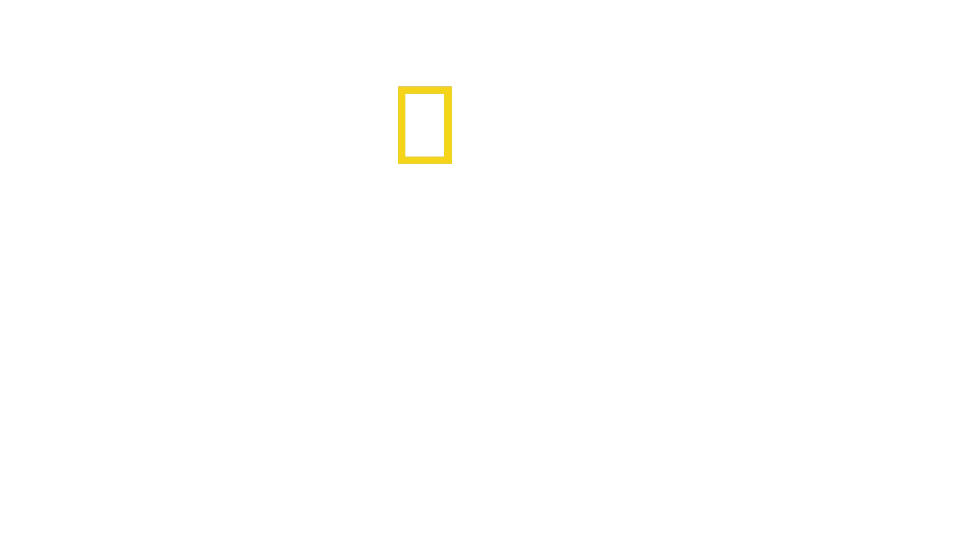Cousteau : de l’homme à la légende