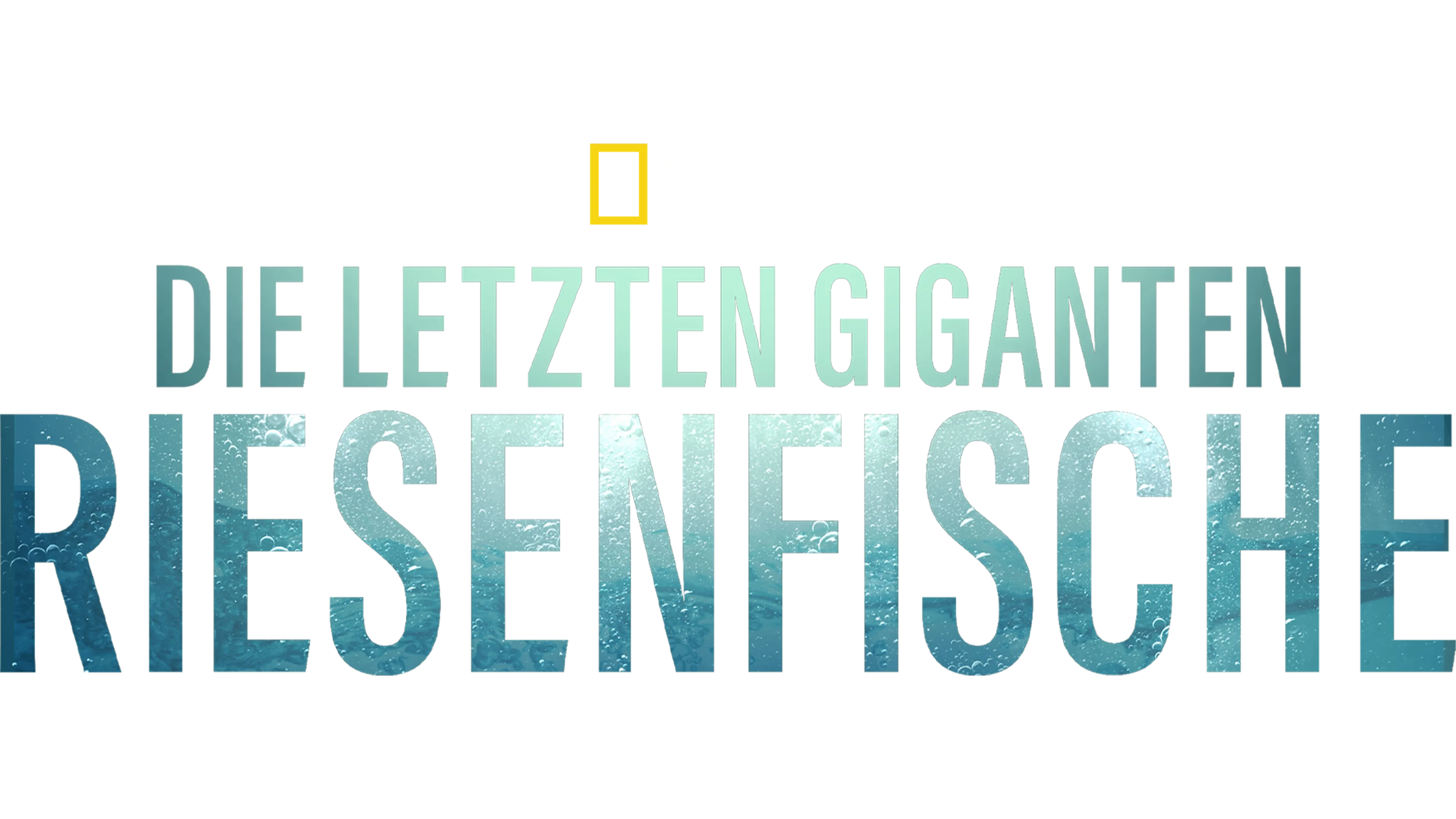 Die letzten Giganten: Riesenfische 