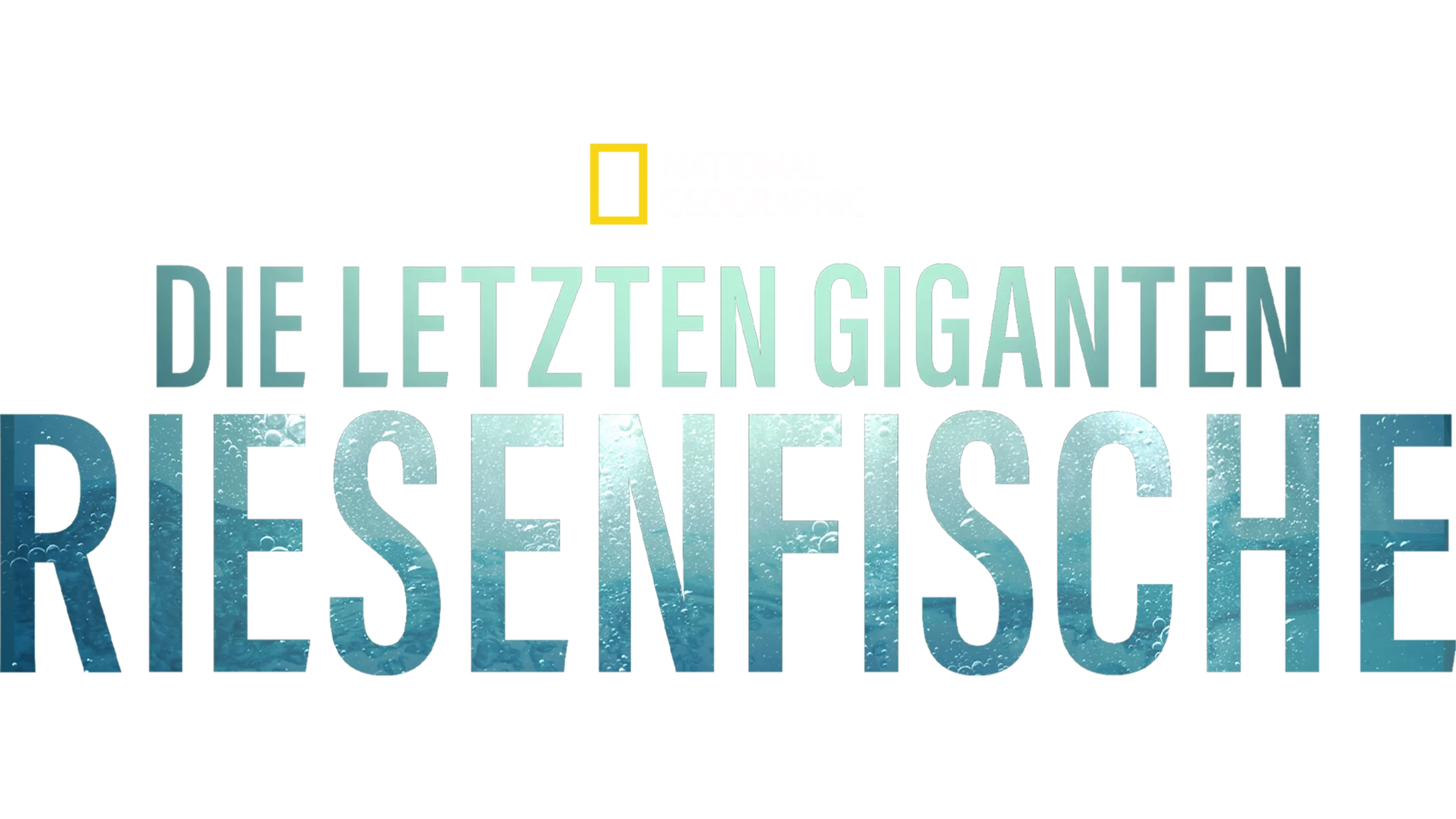 Die letzten Giganten: Riesenfische 
