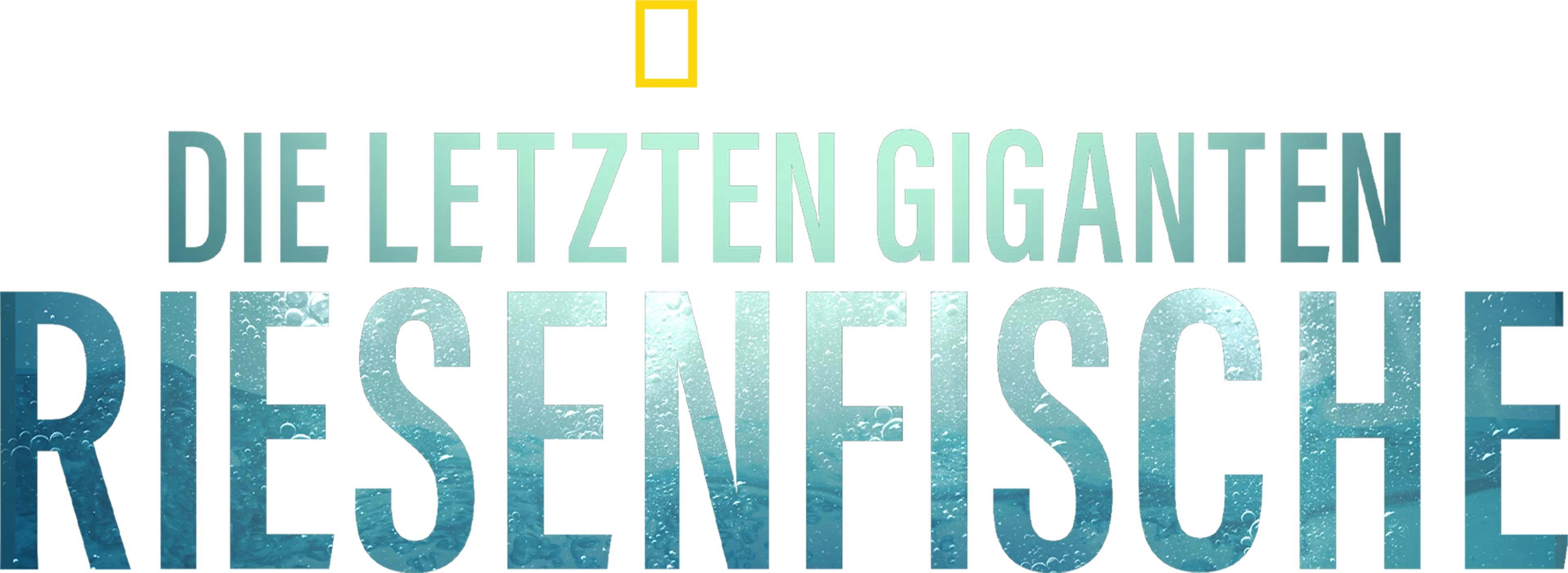 Die letzten Giganten: Riesenfische 