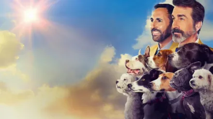 美国救援狗狗秀