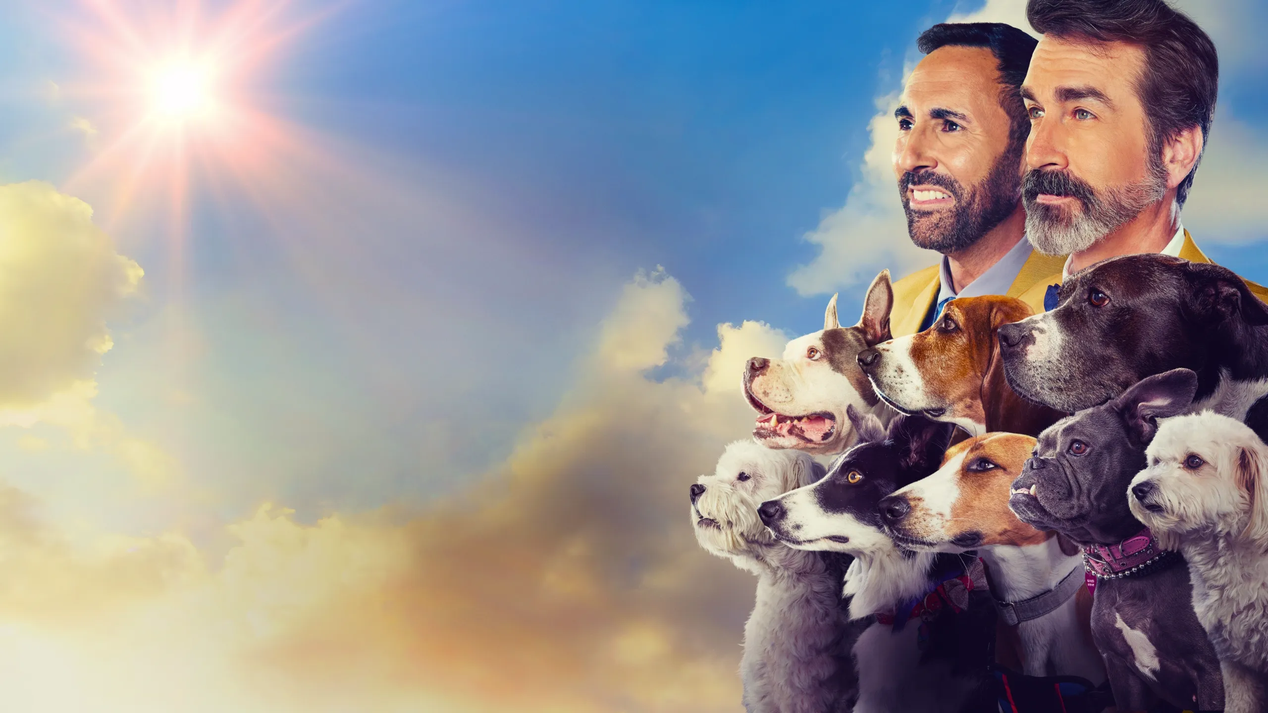 The American Rescue Dog Show