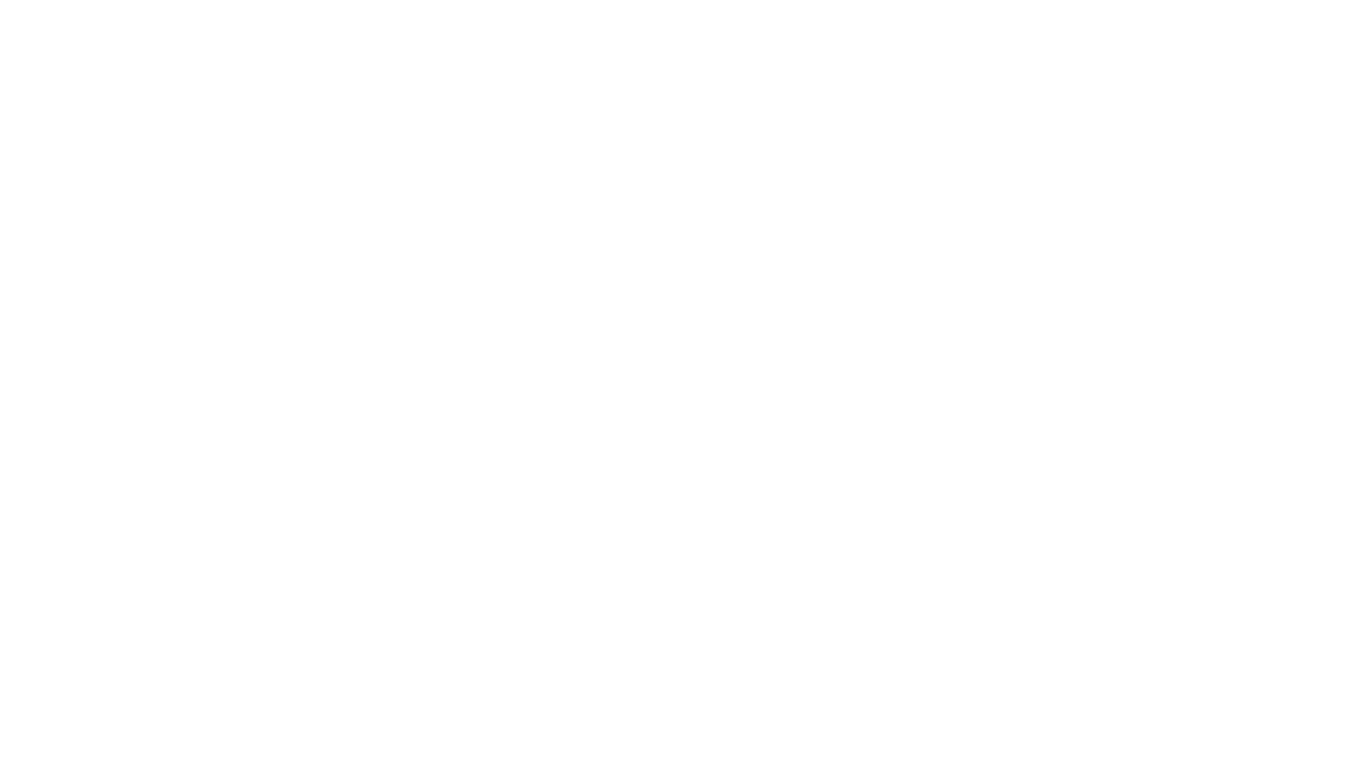 Agua para Elefantes