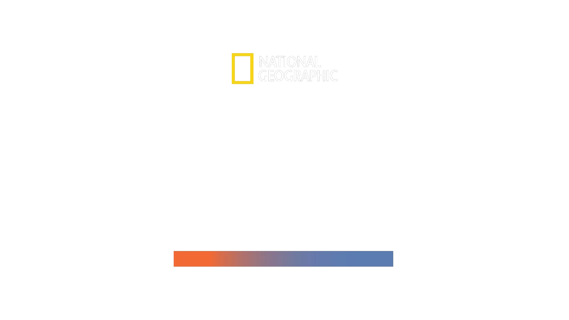 Hammerhaie hautnah