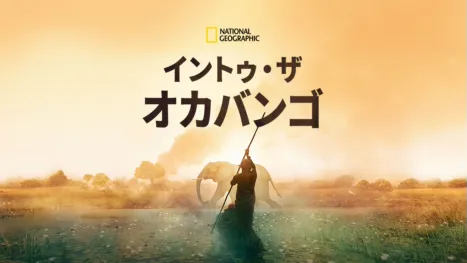 thumbnail - イントゥ・ザ・オカバンゴ