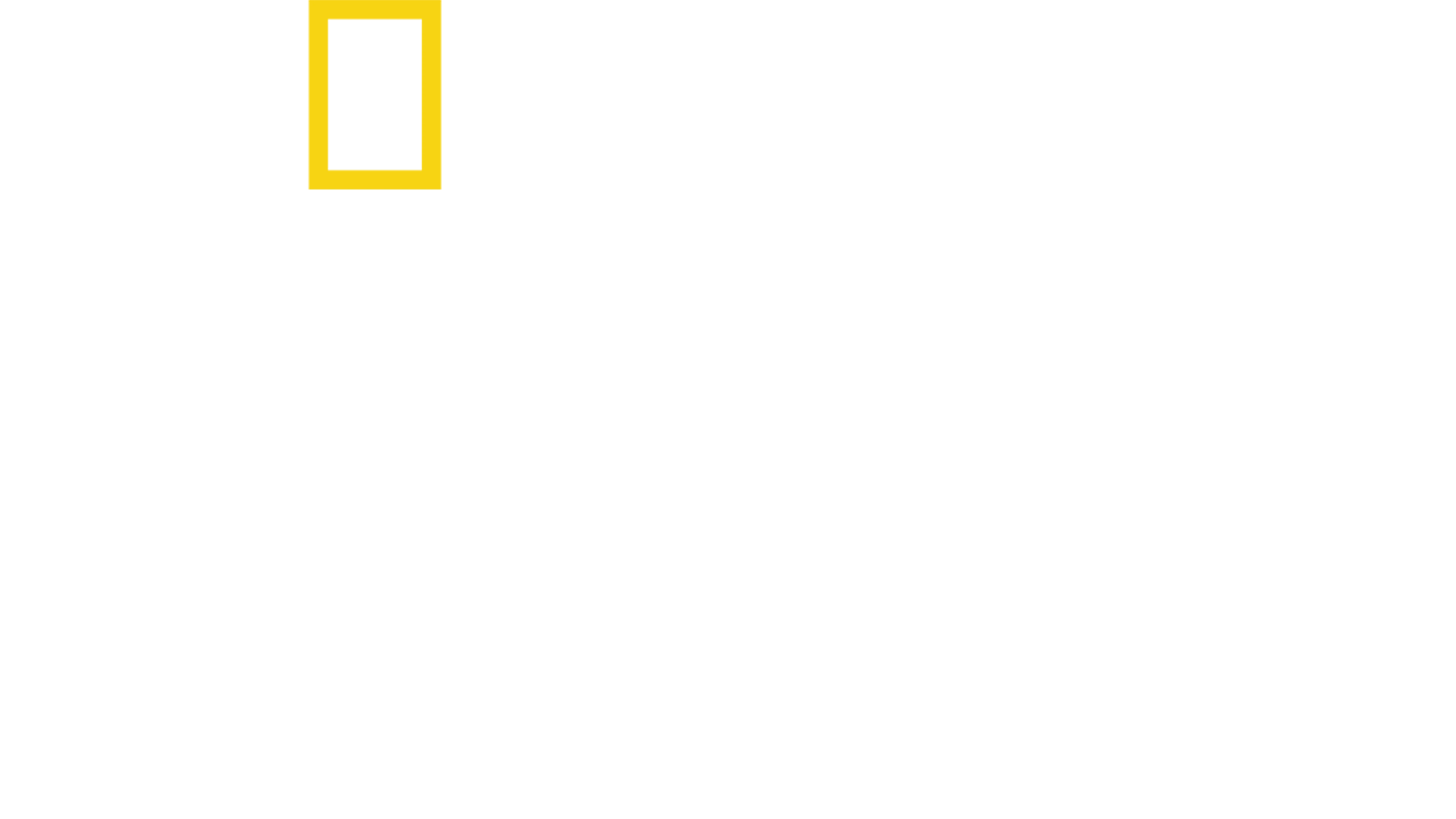 Kuş Cenneti: Kanatlı Cazibe