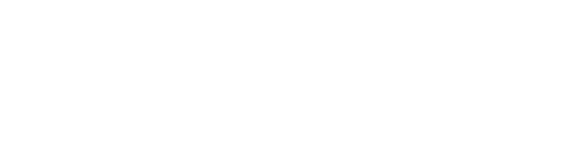 Sasha Reid and the Midnight Order