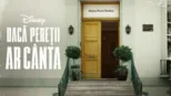 thumbnail - Abbey Road: Dacă pereții ar cânta
