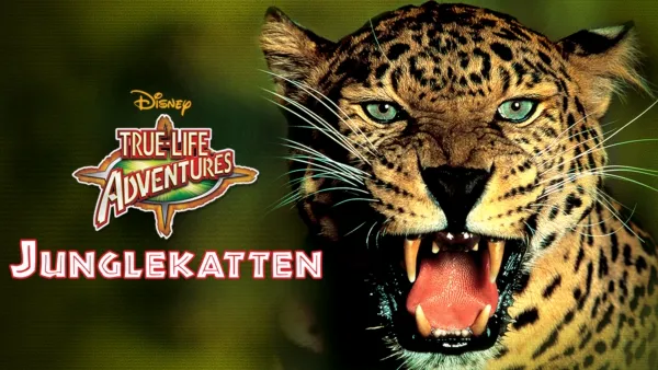 thumbnail - Junglekatten