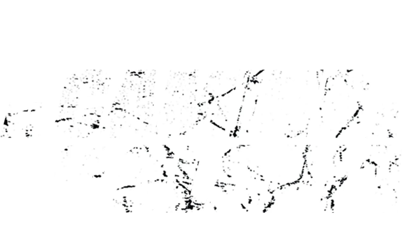 Camino a la gloria
