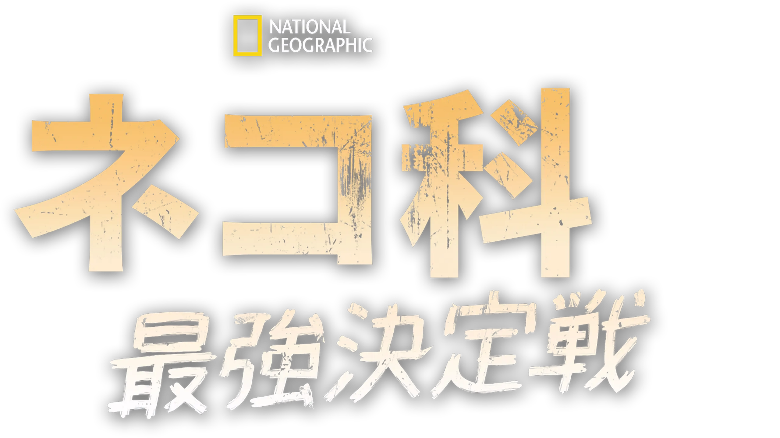 ネコ科最強決定戦