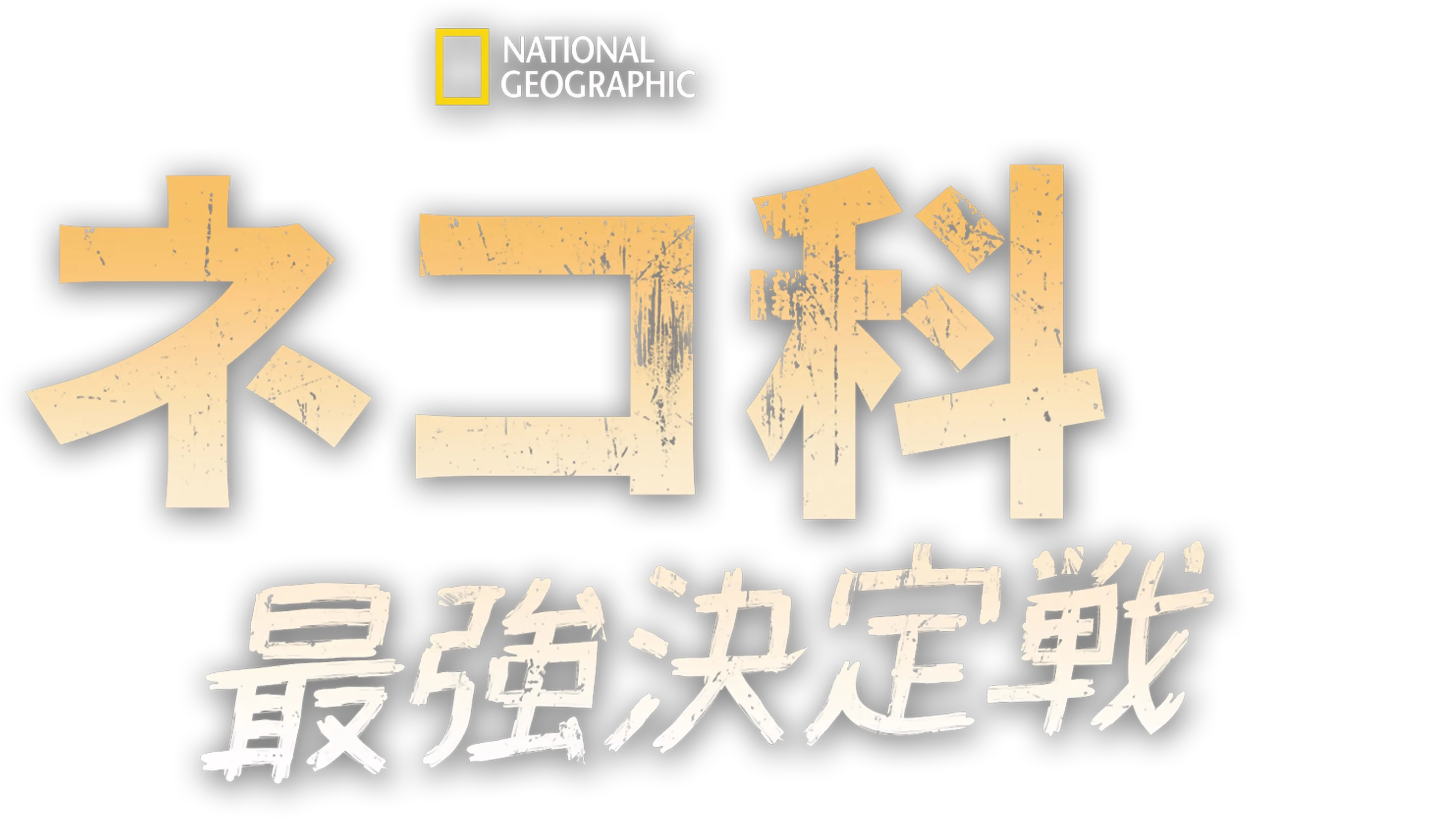 ネコ科最強決定戦