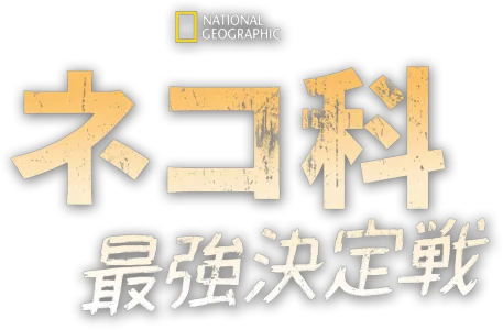 ネコ科最強決定戦
