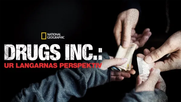 thumbnail - Drugs Inc.: Ur langarnas perspektiv